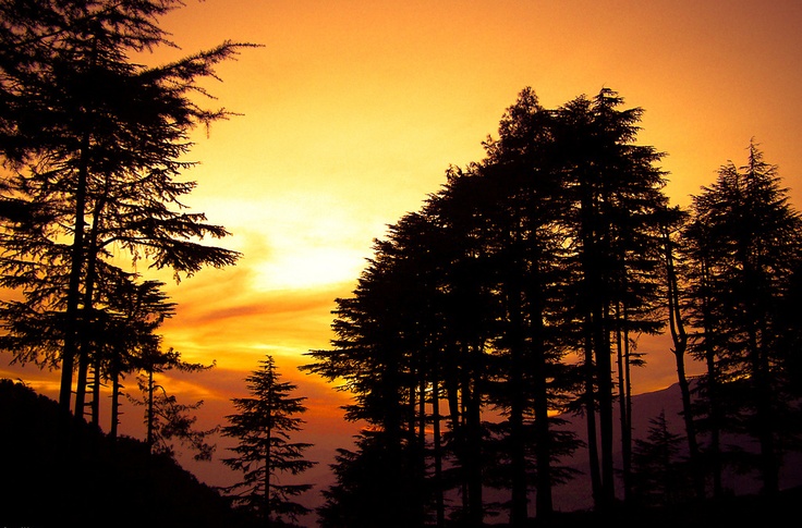 Patnitop in Jammu and Kashmir
